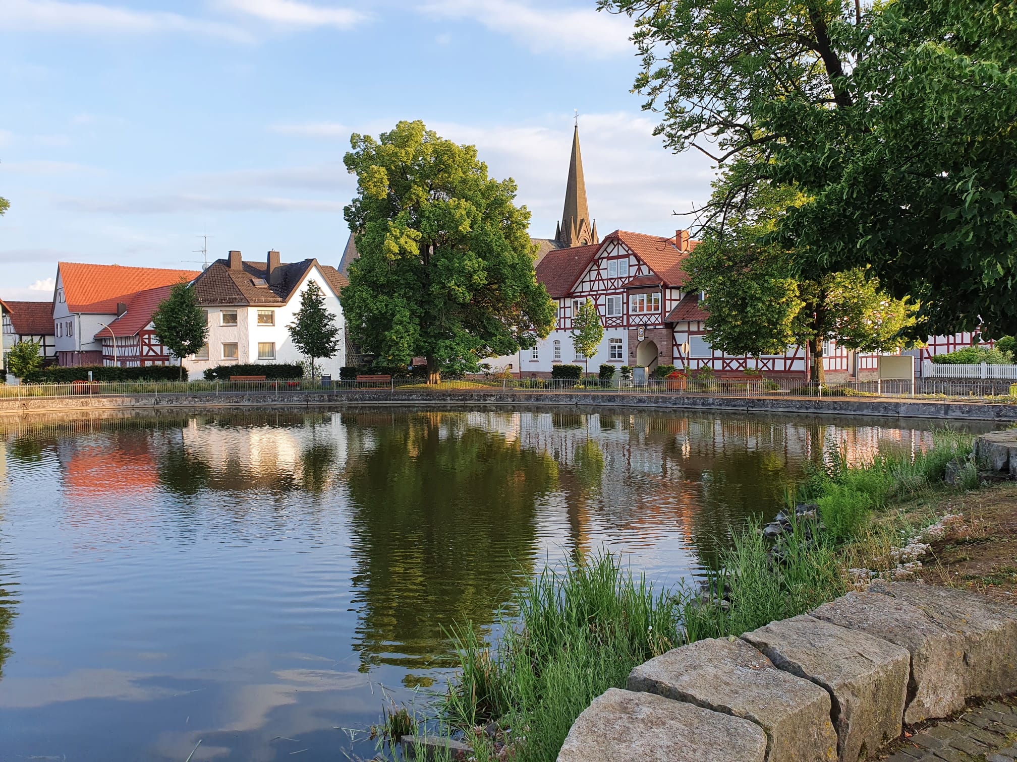Teich Momberg